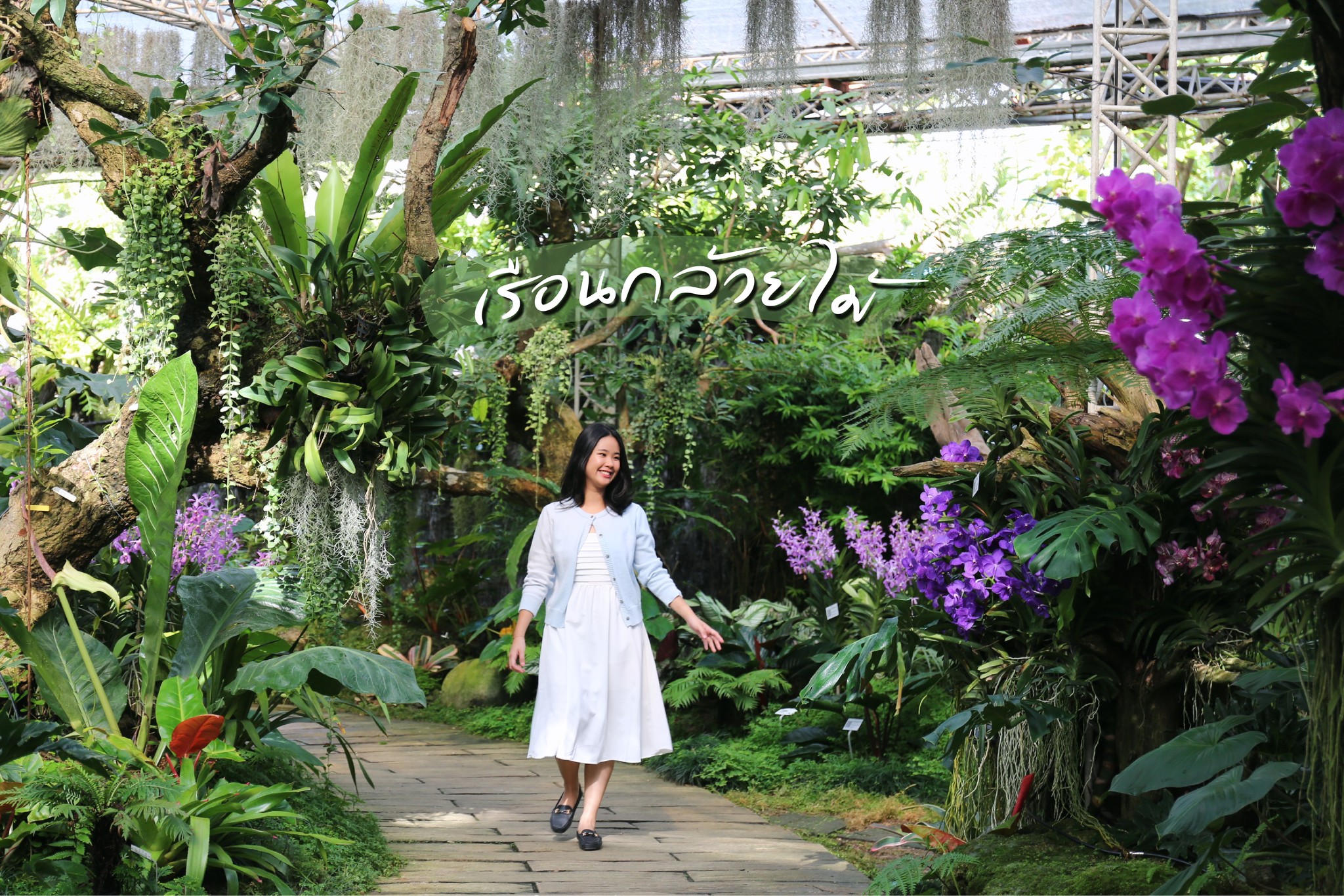 “เรือนกล้วยไม้” จุดไฮไลท์ยอดฮิต ที่ใครๆมาแล้วไม่เคยพลาด!