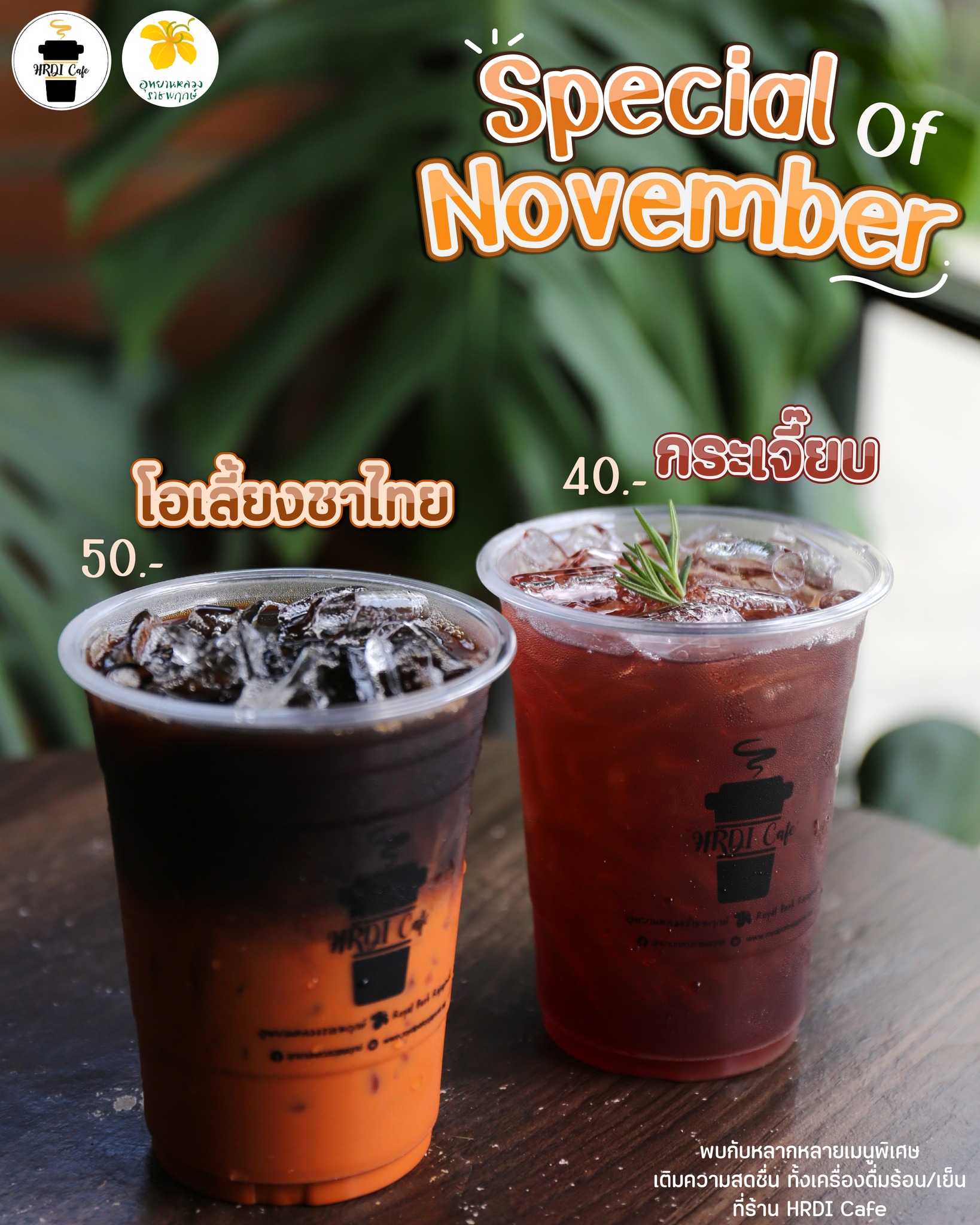 Special Of November ที่ร้าน HRDI Café