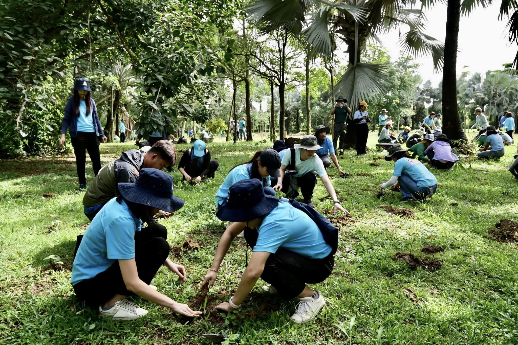 กิจกรรมปลูกต้นไม้เพิ่มพื้นที่สีเขียวลดภาวะโลกร้อน