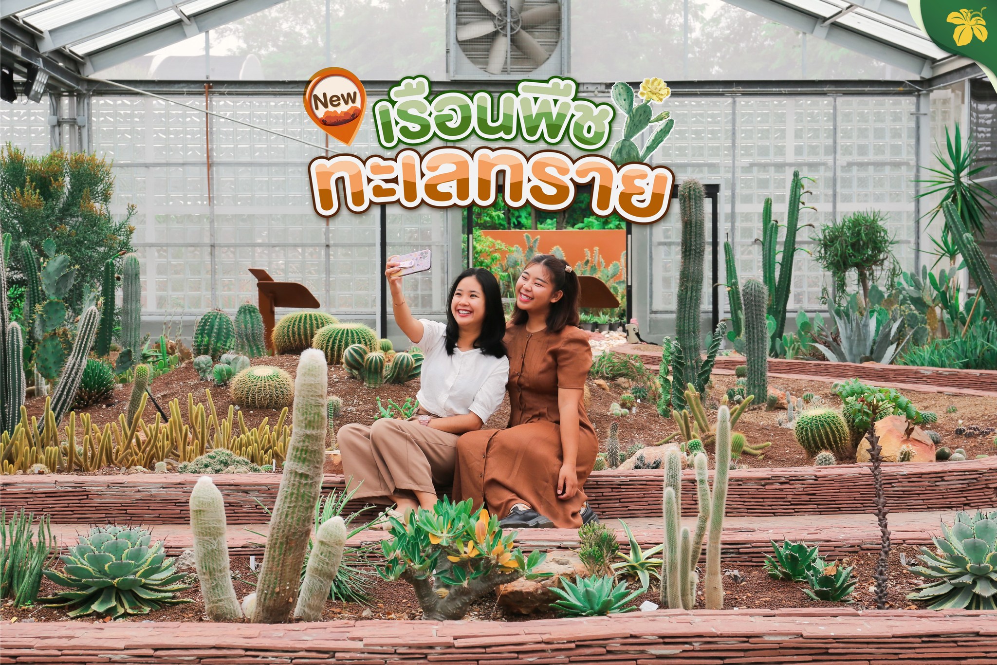 เรือนพืชทะเลทราย