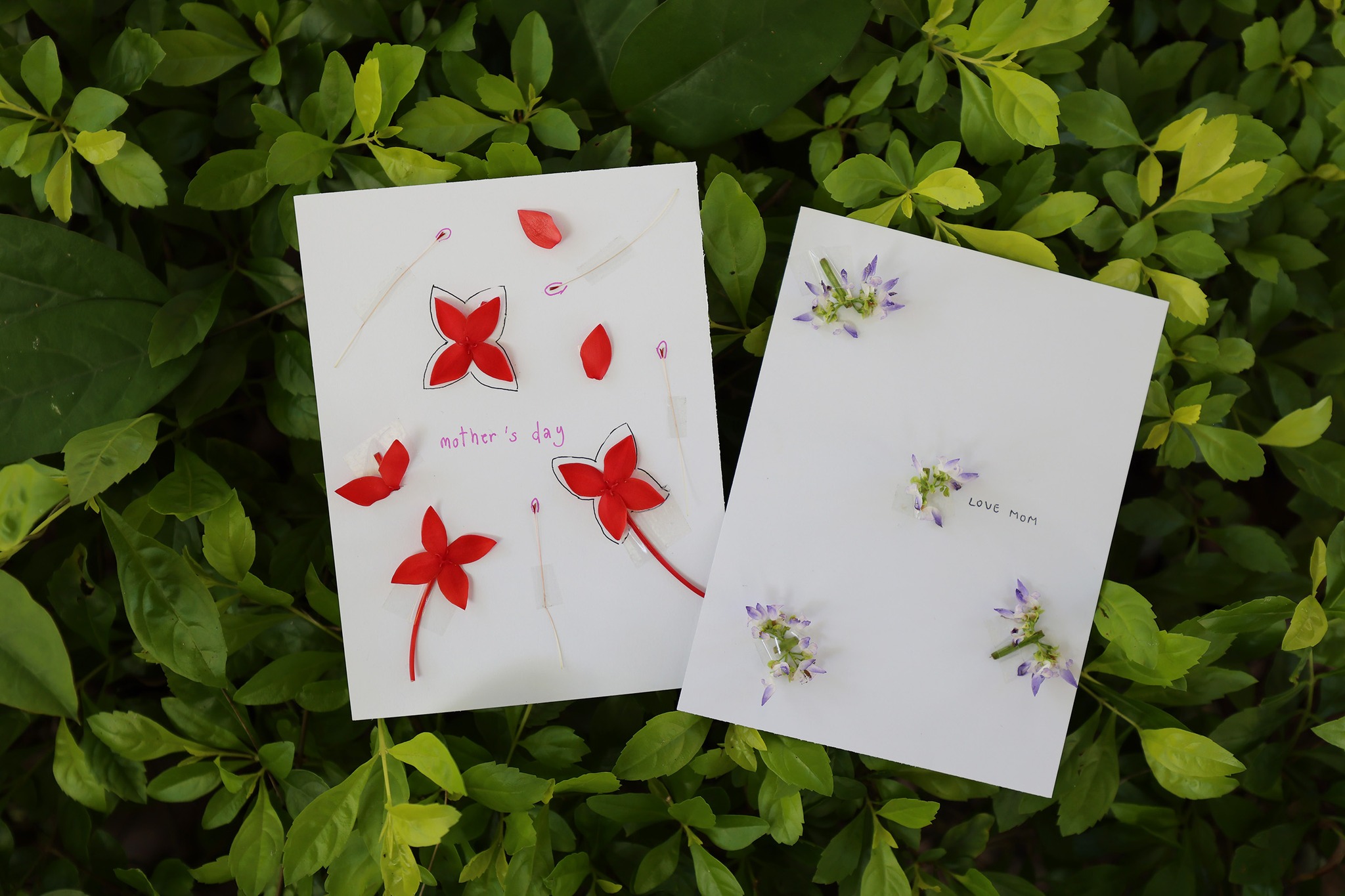 บอกรักแม่แบบธรรมชาติด้วยกิจกรรม’DIYการ์ดวันแม่’