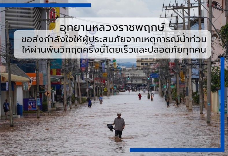 อุทยานหลวงราชพฤกษ์ขอส่งกำลังใจให้กับผู้ประสบภัยทุกท่านจากสถานการณ์อุทกภัยในพื้นที่6จังห