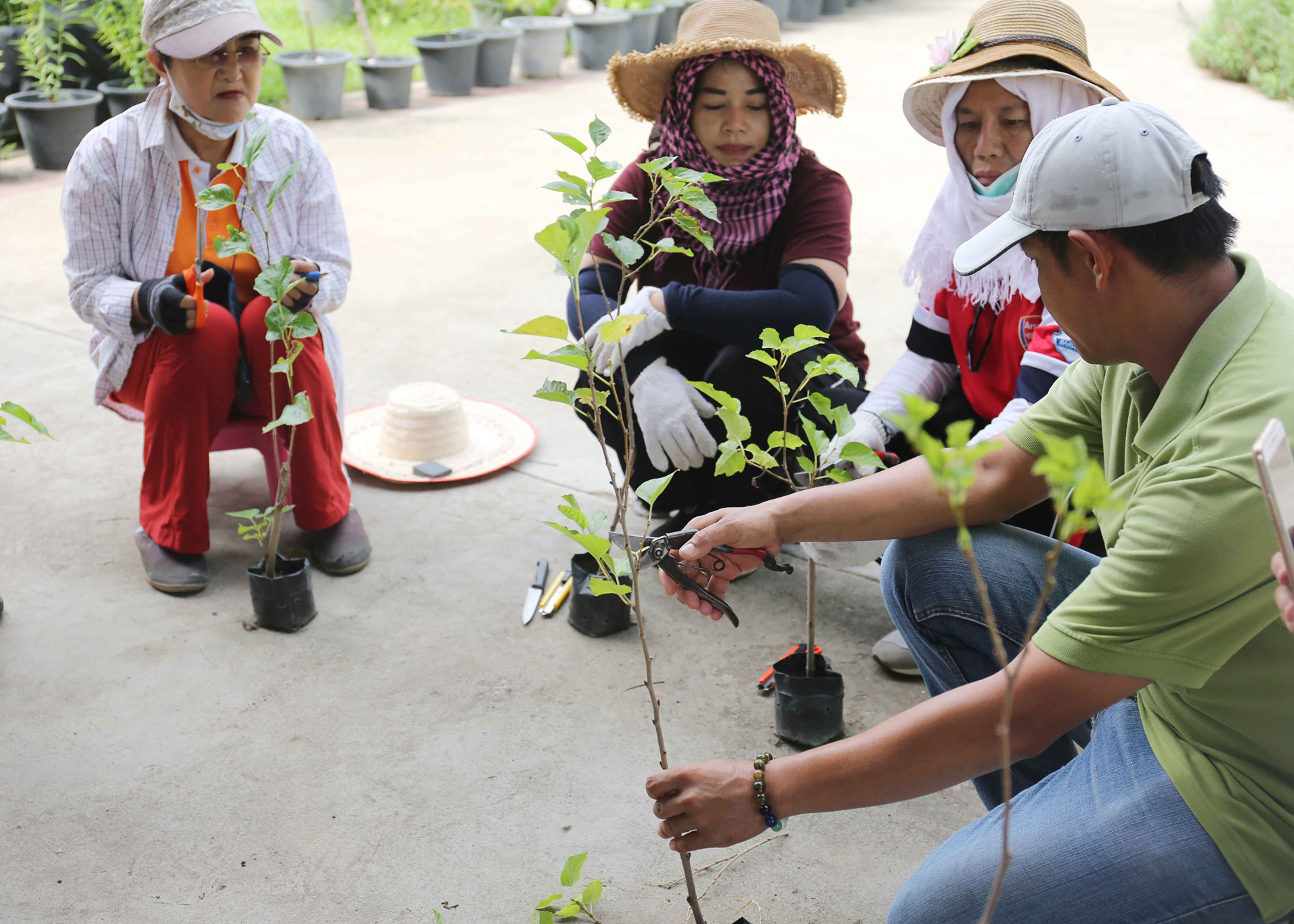 รูปคอร์สผู้ใหญ่ของอุทยานหลวงราชพฤกษ์
