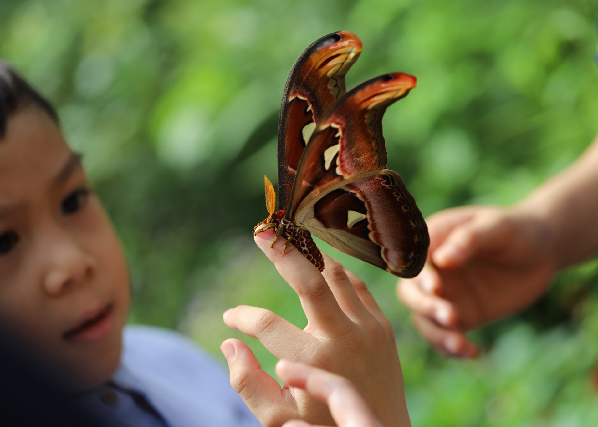 รูปคอร์สเด็กของอุทยานหลวงราชพฤกษ์