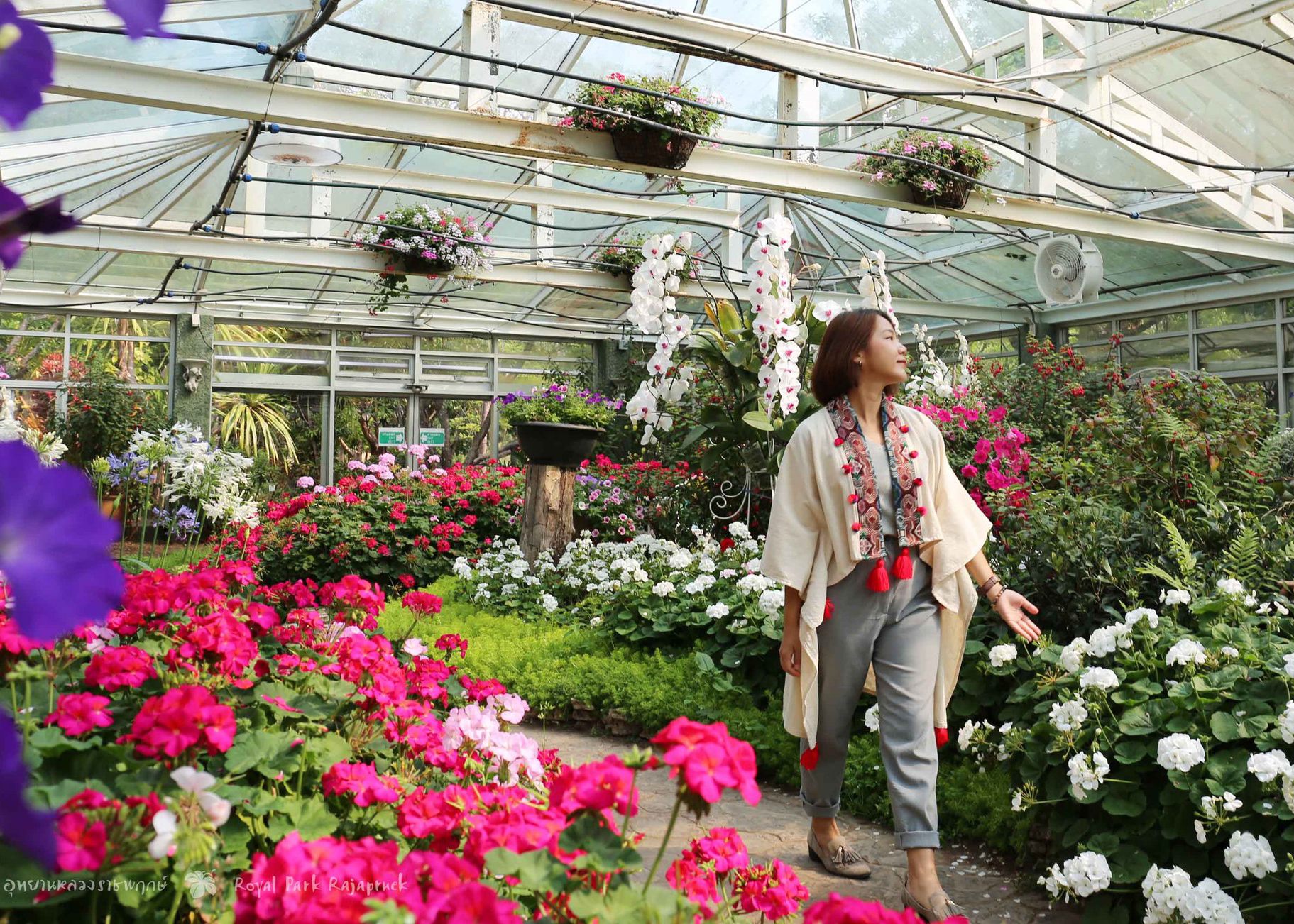 รูปความหลากหลายพรรณไม้และไม้กลุ่มสี