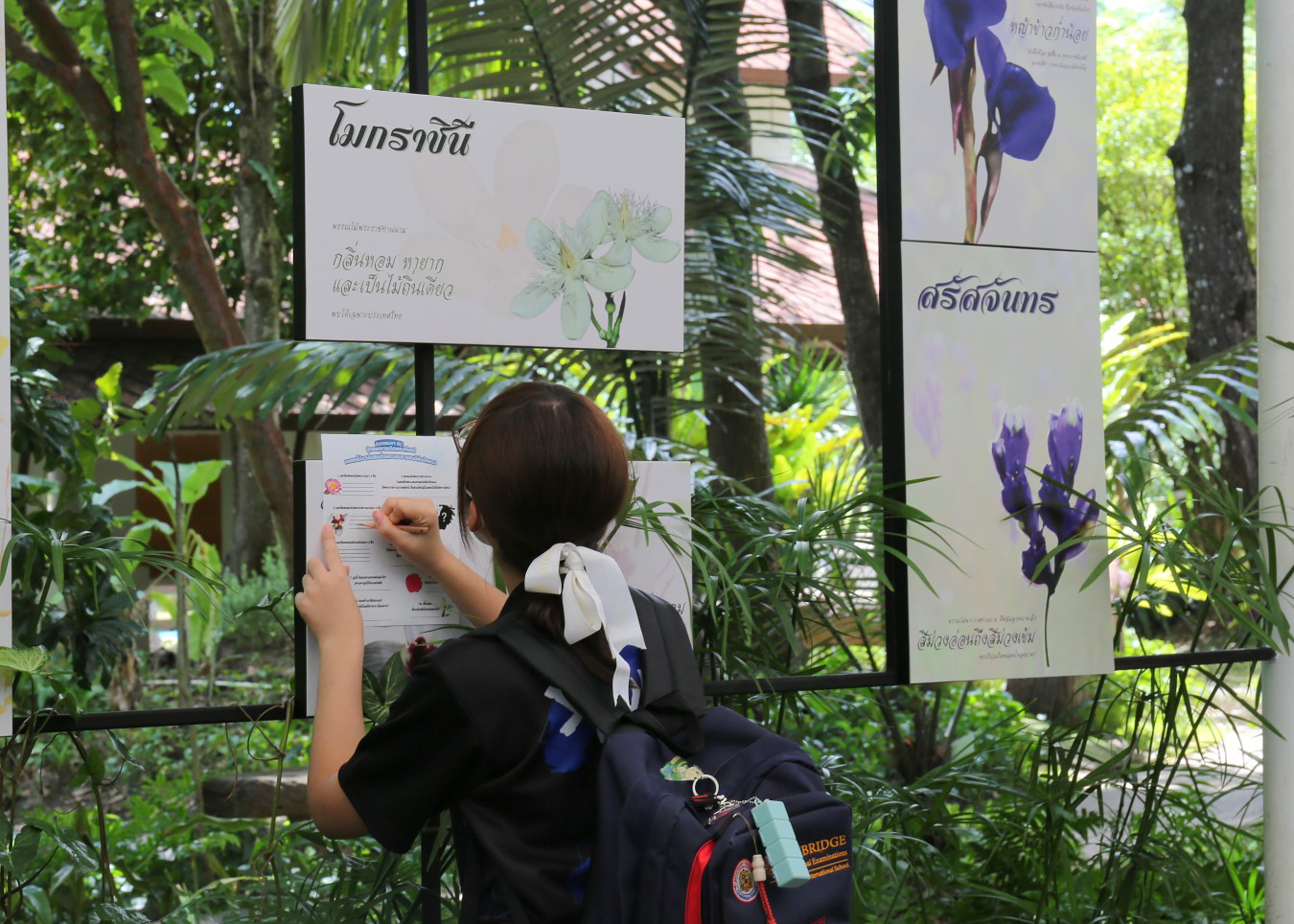 รูปคลังความรู้ของอุทยานหลวงราชพฤกษ์