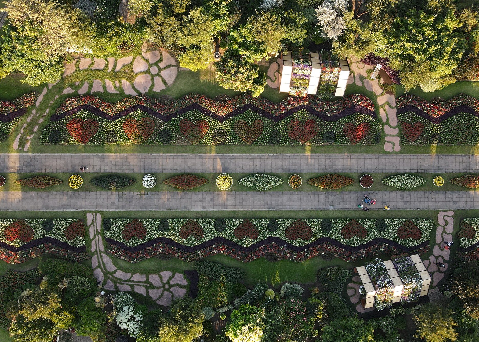 รูปโครงสร้างองค์กรของอุทยานหลวงราชพฤกษ์